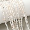 Natural Dendritic Agate Beads Strands G-C011-4mm-01-1