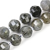 Natural Labradorite Beads Strands G-G182-B02-06-1