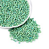 Picasso Glass Seed Beads GL-N001-01B-05-1