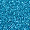 MIYUKI Round Rocailles Beads SEED-G008-RR0647-3