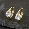 Brass Pave Clear Cubic Zirconia Hoop Earrings WGEEE3C-01-1