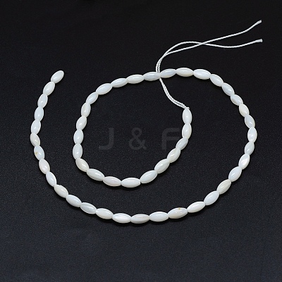 Dyed Natural Shell Beads Strands BSHE-E023-01C-1
