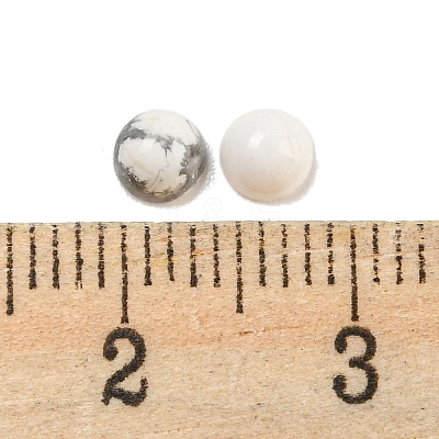 Natural Howlite Jade Cabochons G-H309-03-53-1