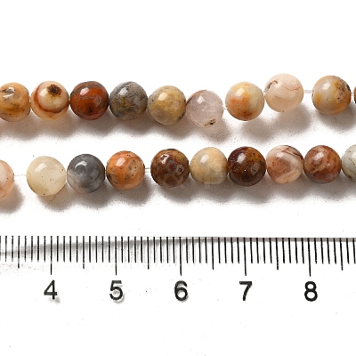 Natural Crazy Lace Agate Round Bead Strands X-G-M272-03-6mm-1