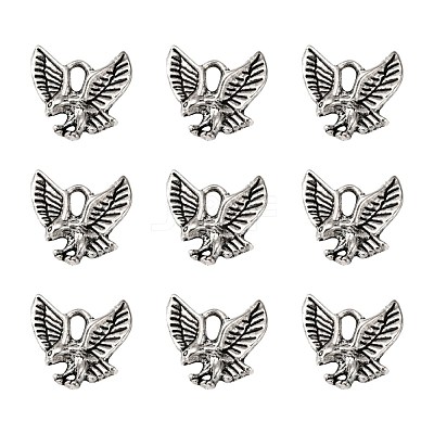 Tibetan Style Alloy Pendants TIBEP-20305-AS-NR-1