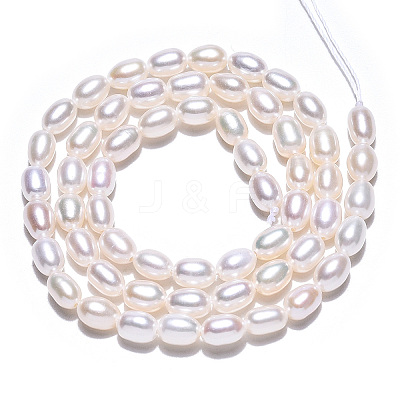 Natural Cultured Freshwater Pearl Beads Strands PEAR-N012-04H-1