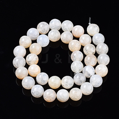 Natural Crackle Agate Beads Strands G-S359-240B-2-1