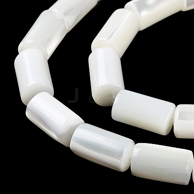 Natural Trochus Shell Beads Strands X-BSHE-Z003-18-1