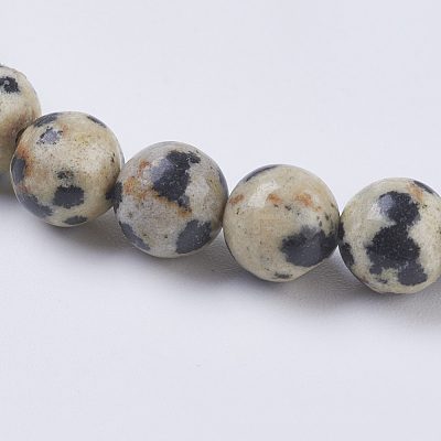 Natural Dalmation Jasper Beads Strands X-G-G515-6mm-06-1