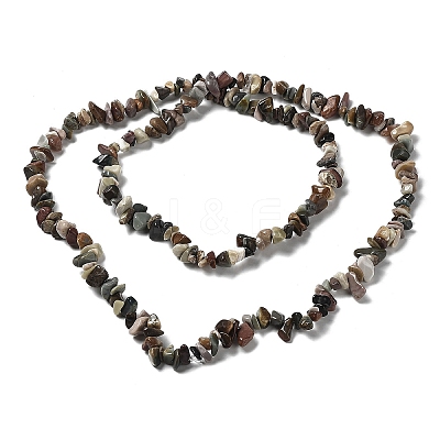 Natural Alashan Agate Beads Strands G-M205-79-1
