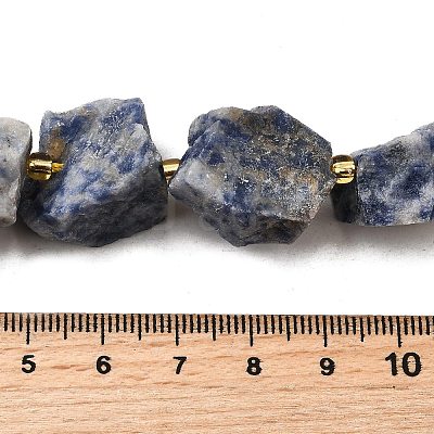 Raw Rough Natural Blue Spot Jasper Beads Strands G-Z087-B01-1