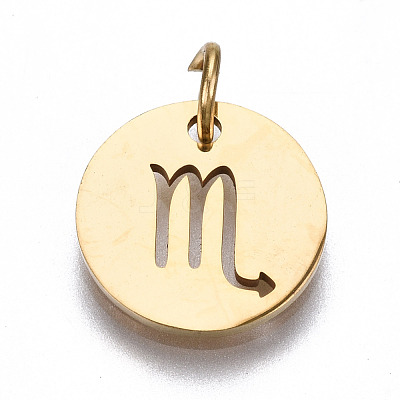 201 Stainless Steel Charms STAS-Q237-M003-6-1