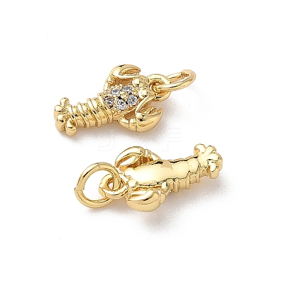 Brass Micro Pave Cubic Zirconia Charms KK-D502-26M-G-1