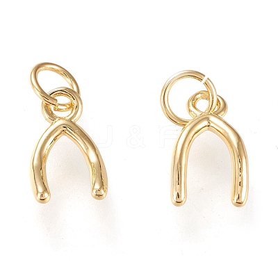 Brass Charms KK-K250-03G-1
