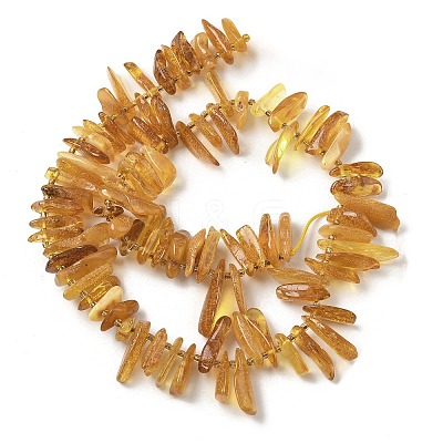 Natural Amber Beads Strands G-L095-D01-05-1