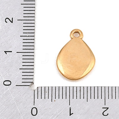 304 Stainless Steel Pendants STAS-B144-03G-1