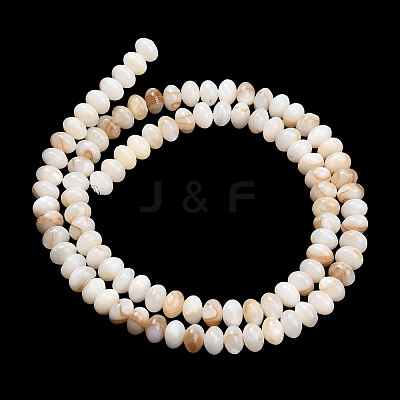 Natural Freshwater Shell Beads Strands SHEL-C010-04A-01-1