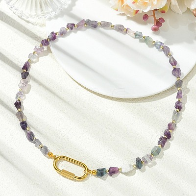 Women's Fluorite Necklaces NJEW-JN06639-1