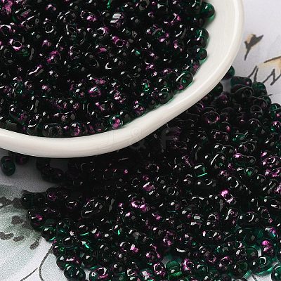 Spray Painted Glass Seed Beads SEED-F005-10A-03-1