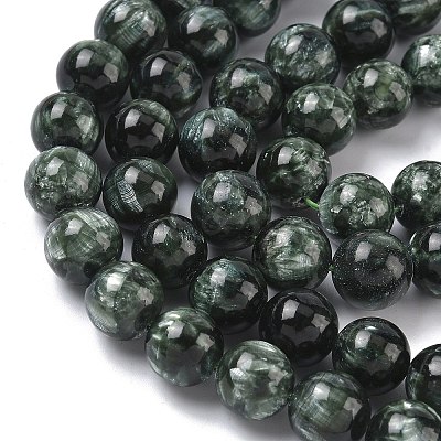 Natural Seraphinite Beads Strands G-C270-O01-11-1