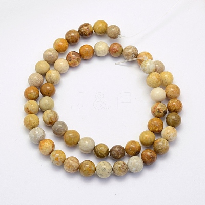 Natural Fossil Coral Beads Strands G-G697-F01-4mm-1
