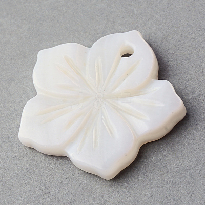 Sea Shell Pendants SSHEL-Q296-15-1