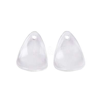 Transparent Acrylic Pendants TACR-G050-01D-1