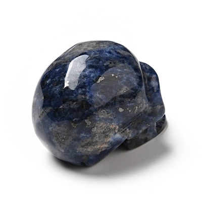Halloween Natural Sodalite Display Decorations DJEW-K015-31-1