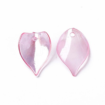 Transparent Acrylic Beads MACR-S373-103-C05-1