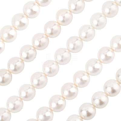 1 Strand AB Color Plated Shell Pearl Round Beads Strands BSHE-LT0001-01-1