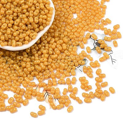 Baking Paint Glass Seed Beads SEED-L011-09A-22-1