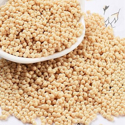 Baking Paint Glass Seed Beads X1-SEED-A033-05G-1