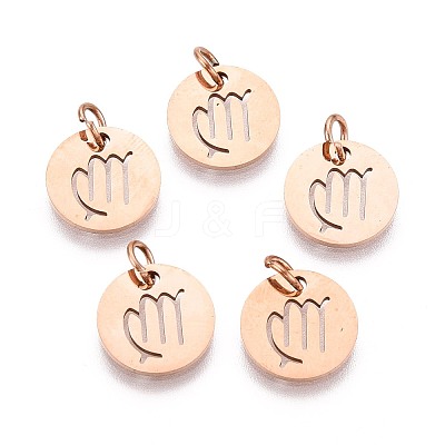 304 Stainless Steel Charms STAS-Q201-T445-6R-1