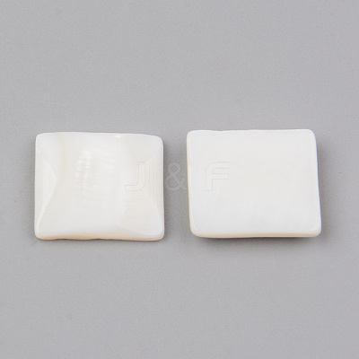 Natural Freshwater Shell Cabochons SHEL-R049-019-1