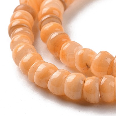 Natural Cultured Freshwater Shell Beads Strands SHEL-F002-01E-1