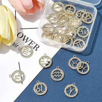 24Pcs 12 Styles Zinc Alloy Crystal Rhinestone Pendants FIND-FS0004-40-1