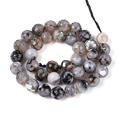 Dyed & Heated Natural Fire Crackle Agate Beads Strands G-N359-01B-04-1