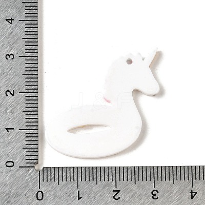 Summer Beach Series Acrylic Pendants OACR-S003-02C-1