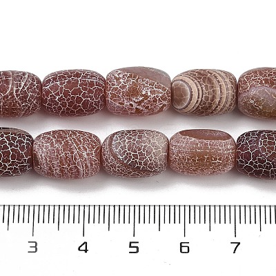 Natural Weathered Agate Beads Strands G-NH0047-B02-01-1