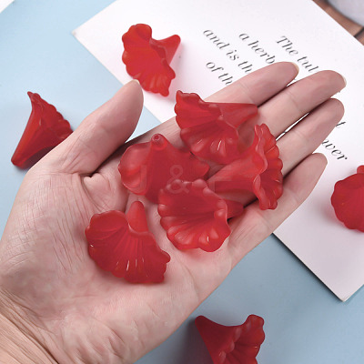 Transparent Acrylic Beads X-BSF796-C12-1