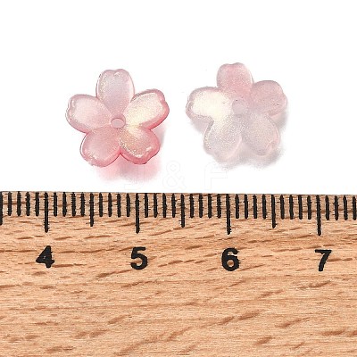 Acrylic Bead Caps OACR-I024-01F-1