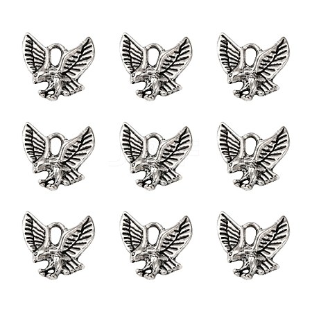 Tibetan Style Alloy Pendants TIBEP-20305-AS-NR-1