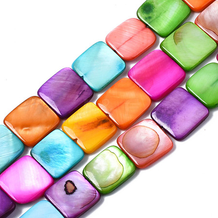 Natural Freshwater Shell Beads Strands SHEL-S278-020-1