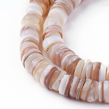 Natural Shell Beads Strands X-SSHEL-E571-49D-1