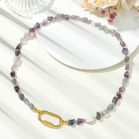 Women's Fluorite Necklaces NJEW-JN06639-1