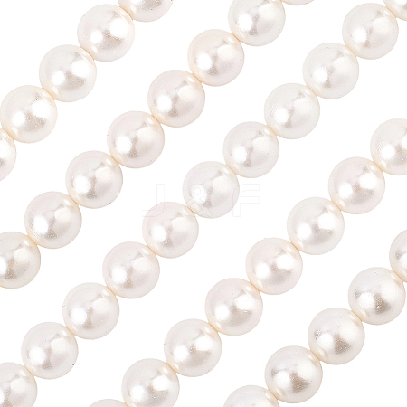 1 Strand AB Color Plated Shell Pearl Round Beads Strands BSHE-LT0001-01-1
