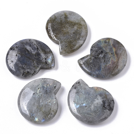 Natural Labradorite Beads G-R464-008A-1