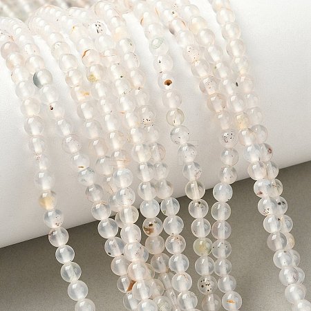 Natural Dendritic Agate Beads Strands G-C011-4mm-01-1