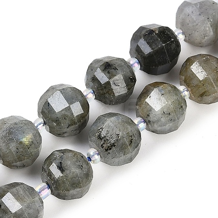 Natural Labradorite Beads Strands G-G182-B02-06-1