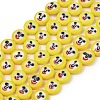 Handmade Lampwork Beads Strands LAMP-Z021-02-1
